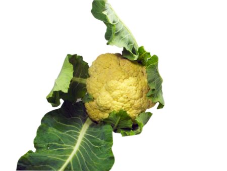 Couve Flor Orgânica Unidade - Sítio Cazarini