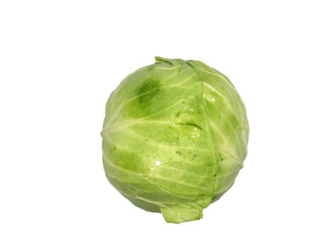 Repolho Orgânico Unidade - Sítio Cazarini
