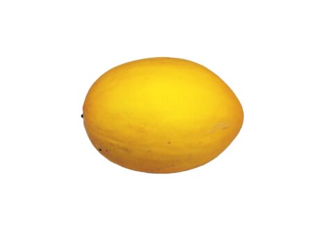 Melão Orgânico Unidade (+-2,0kg) - Terra Frutas Orgânicas