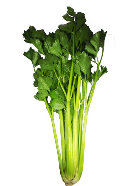 Salsão Orgânico Unidade - Sítio Cazarini