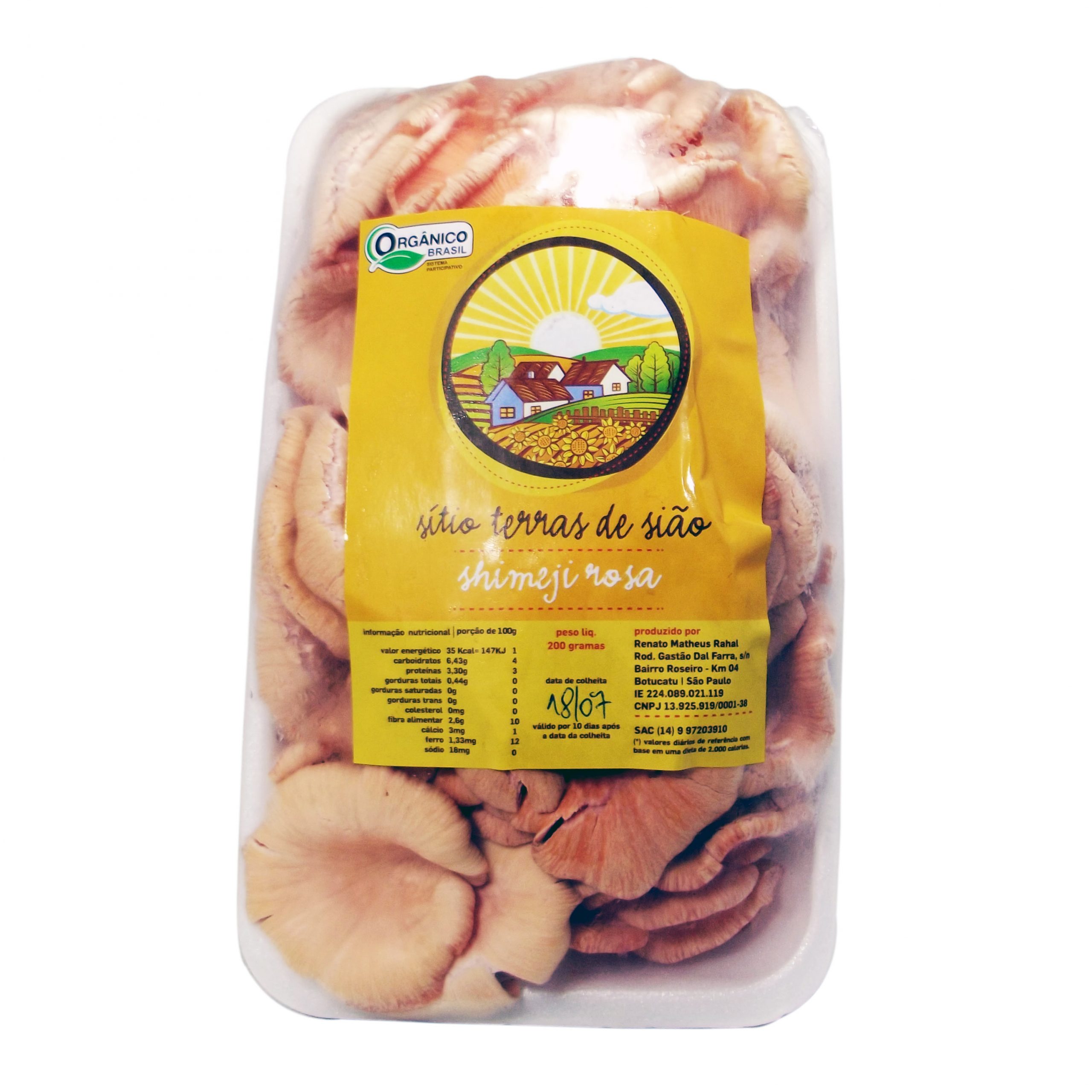 Cogumelo Shitake Orgânico Bandeja - Terra Frutas Orgânicas