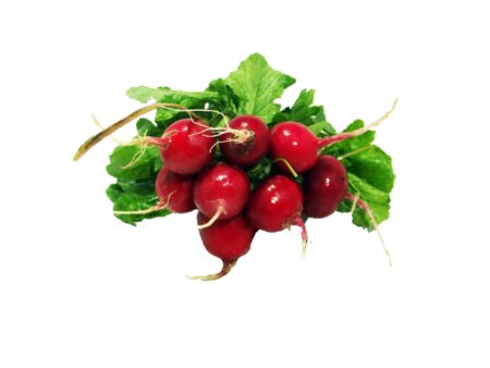 Rabanete Orgânico Maço - Sítio Cazarini